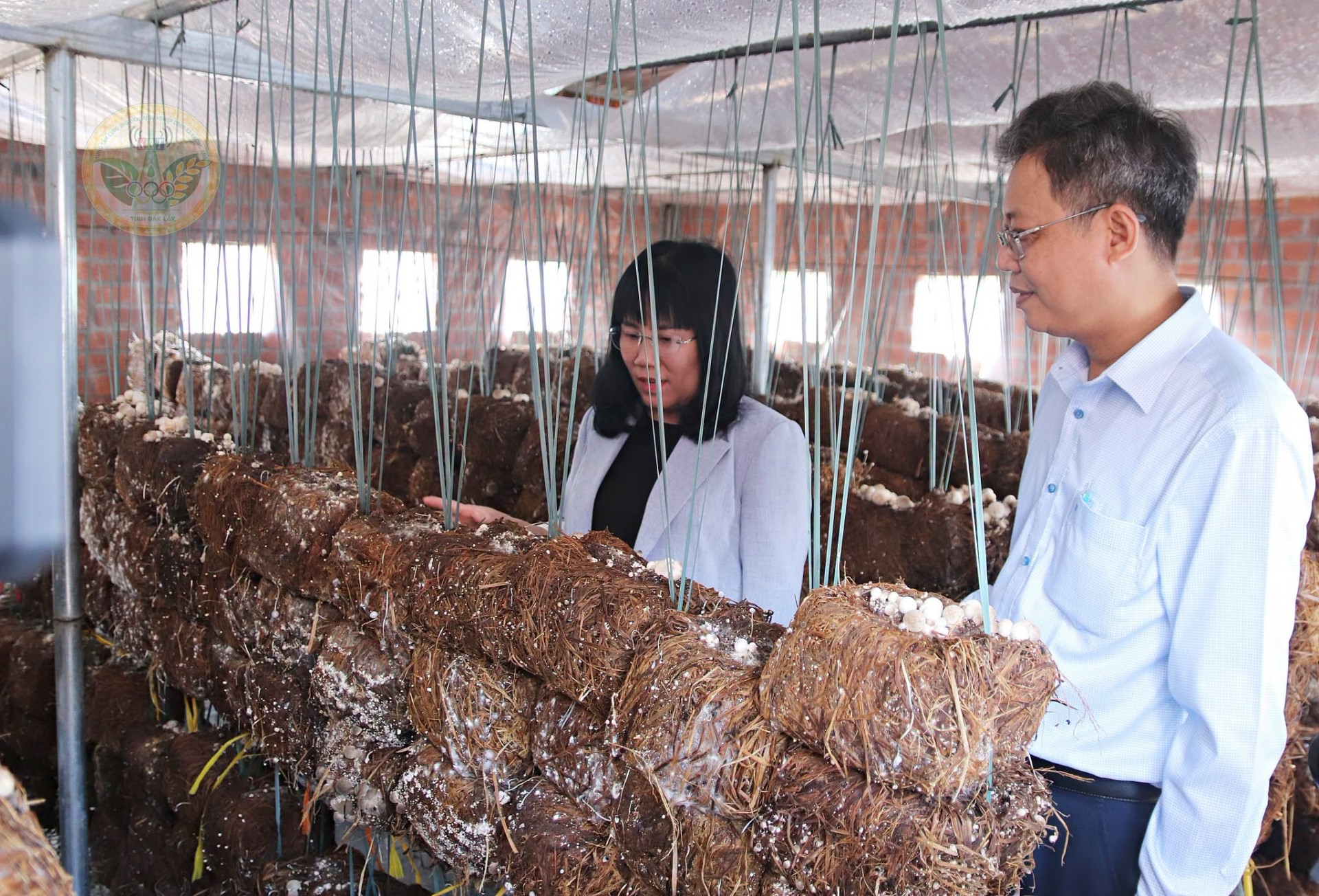 Đoàn công tác khảo sát thực tế mô hình ứng dụng khoa học và công nghệ trong sản xuất nấm tại Hợp tác xã Nấm Linh chi và Dịch vụ nông nghiệp xã Krông Ana.