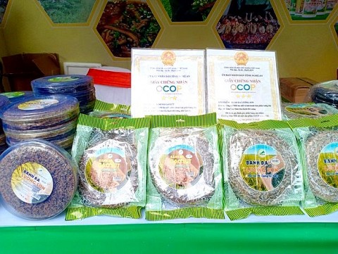 ket hop truyen thong va cong nghe hien dai phat trien nghe o nghe an