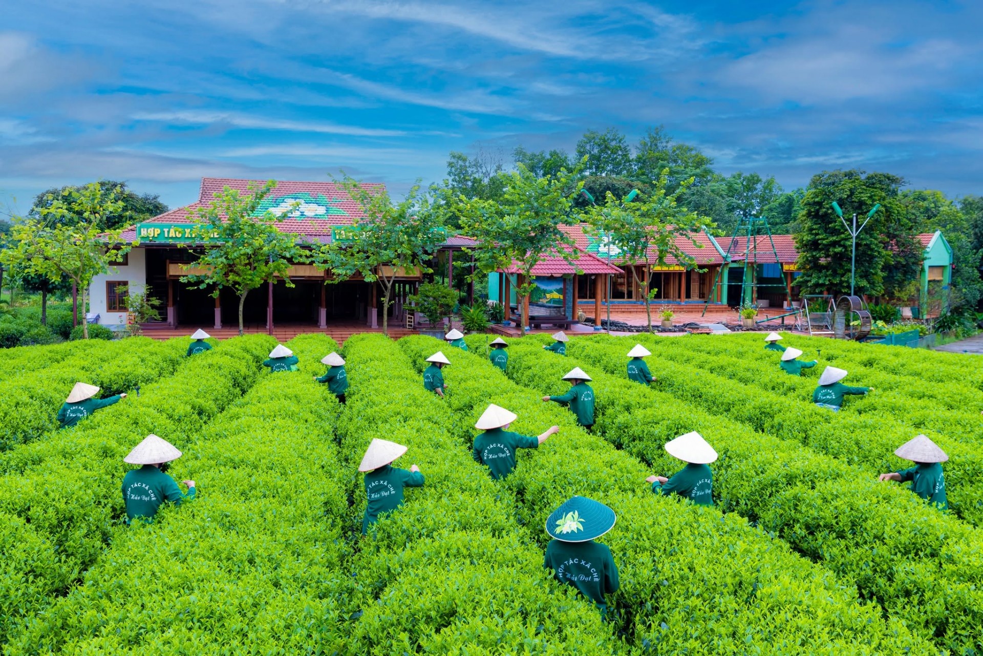 Khuyến công tạo lực đẩy cho sản xuất, mở rộng thị trường Khuyến công tạo lực đẩy cho sản xuất, mở rộng thị trường