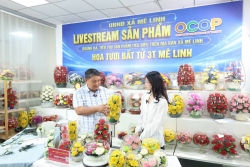 Ứng dụng công nghệ số thúc đẩy kinh tế làng nghề Mê Linh
