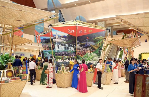sau anh den hoi cho ocop can gi de di xa