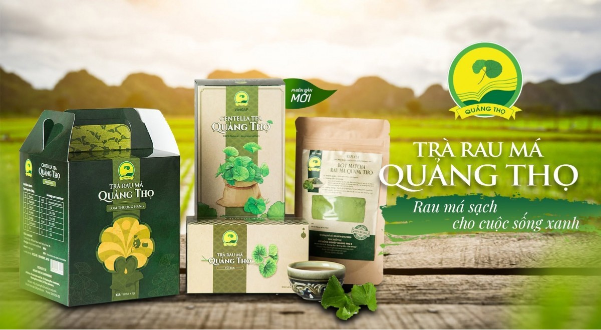 Trà rau má Quảng Thọ của HTX Nông nghiệp Quảng Thọ II đã hết hạn công nhận sản phẩm OCOP Trà rau má Quảng Thọ của HTX Nông nghiệp Quảng Thọ II đã hết hạn công nhận sản phẩm OCOP