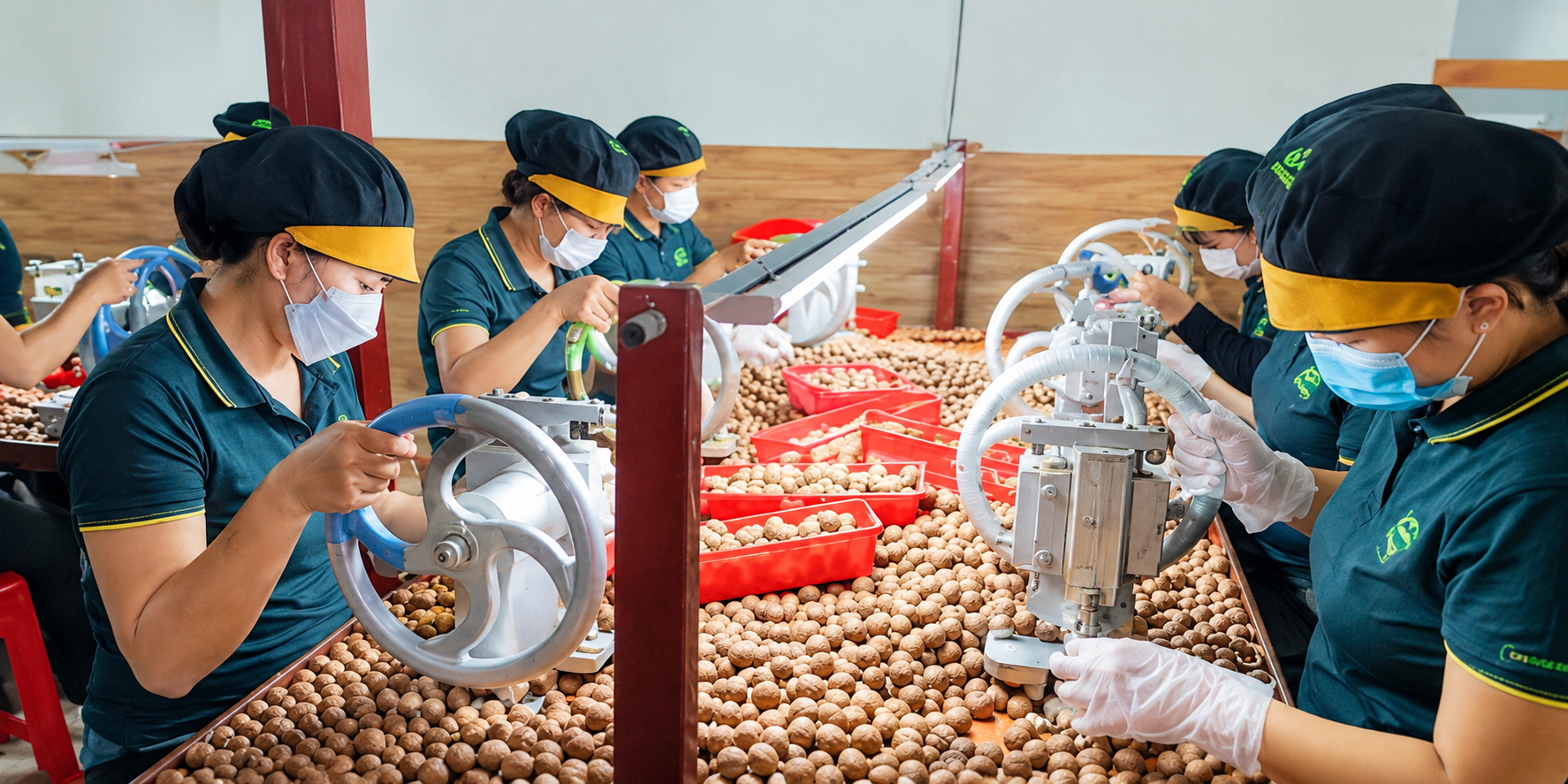 Chương trình khuyến công Quốc gia giúp doanh nghiệp Đắk Lắk đổi mới công nghệ