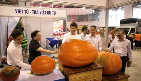 quang ninh gap rut hoan thien khong gian ocop am thuc truoc ngay hoi lon