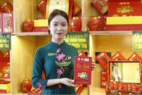 htx che hao dat hanh trinh doi moi nang tam thuong hieu viet