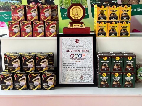 tp dong nai khat vong nang tam vi dang nguyen ban cua hat ca phe
