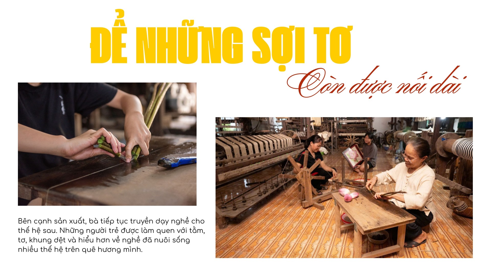 Người “đánh thức” nghề tơ tằm Phùng Xá