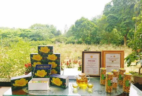 ha noi mo rong he sinh thai ho tro phu nu khoi nghiep trong chuyen doi so