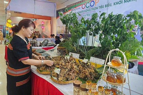 sam ngoc linh duoc dua len san ocop