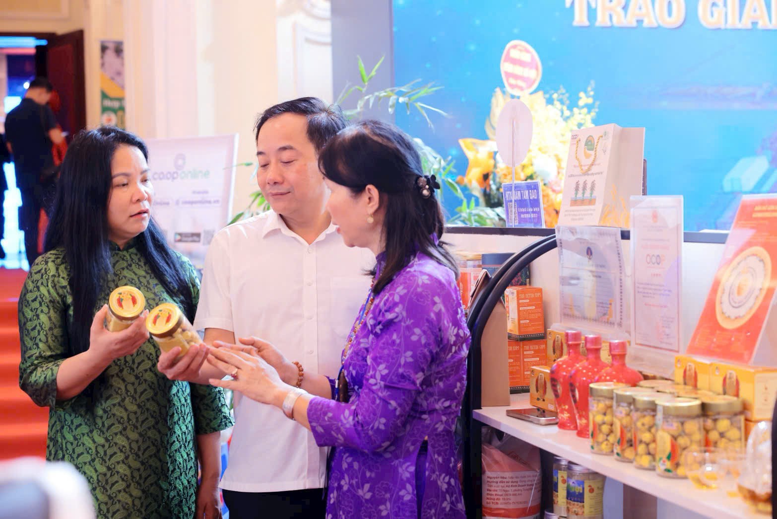Trà hoa vàng: Từ nguồn gen quý đến sản phẩm OCOP Hà Nội