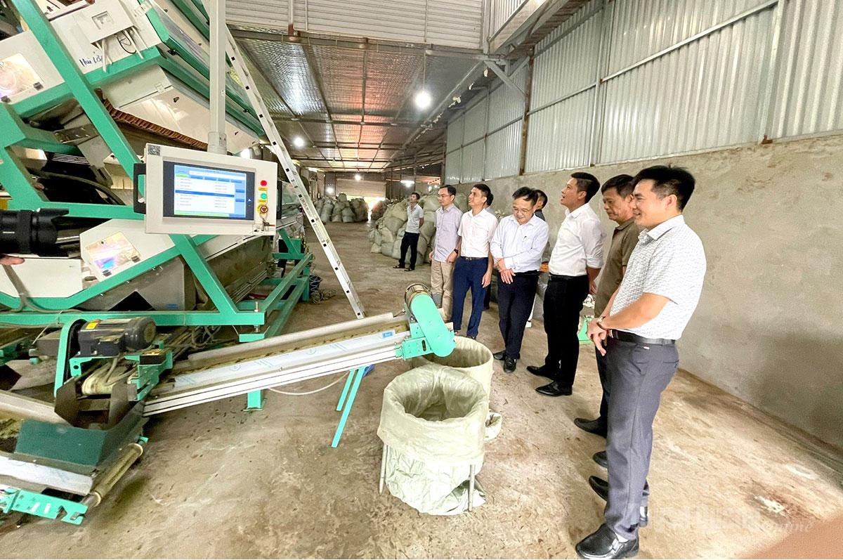 Các đại biểu tham quan hệ thống máy tách màu trà của Công ty TNHH Chè Phú Mỹ Các đại biểu tham quan hệ thống máy tách màu trà của Công ty TNHH Chè Phú Mỹ