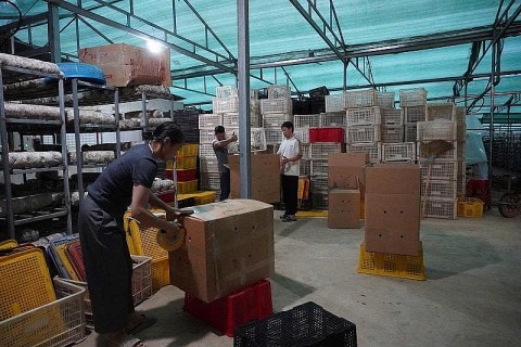 nam pung luong khai thac ngach vi khi hau mo rong thi truong xuat khau