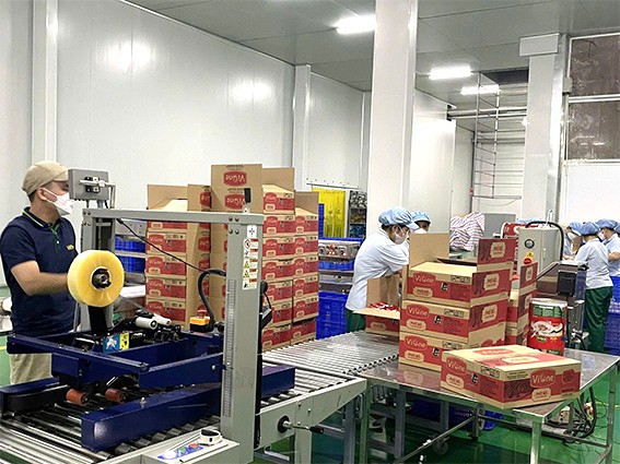 Nghệ An:  Nguồn vốn khuyến công đến nhiều ngành sản xuất