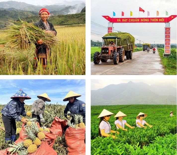 Chiến lược mới cho phát triển nông thôn  và giảm nghèo bền vững
