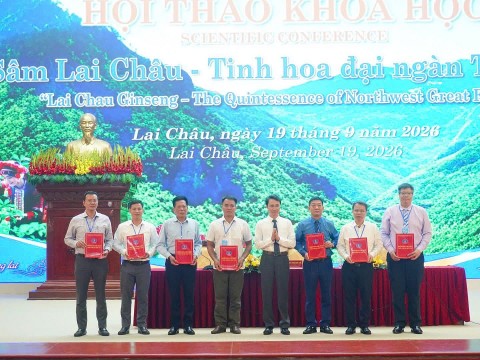 chuyen hoa sam lai chau thanh nguyen lieu hoa duoc cao cap