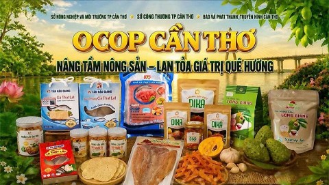 cau chuyen phia sau nhung san pham ocop can tho