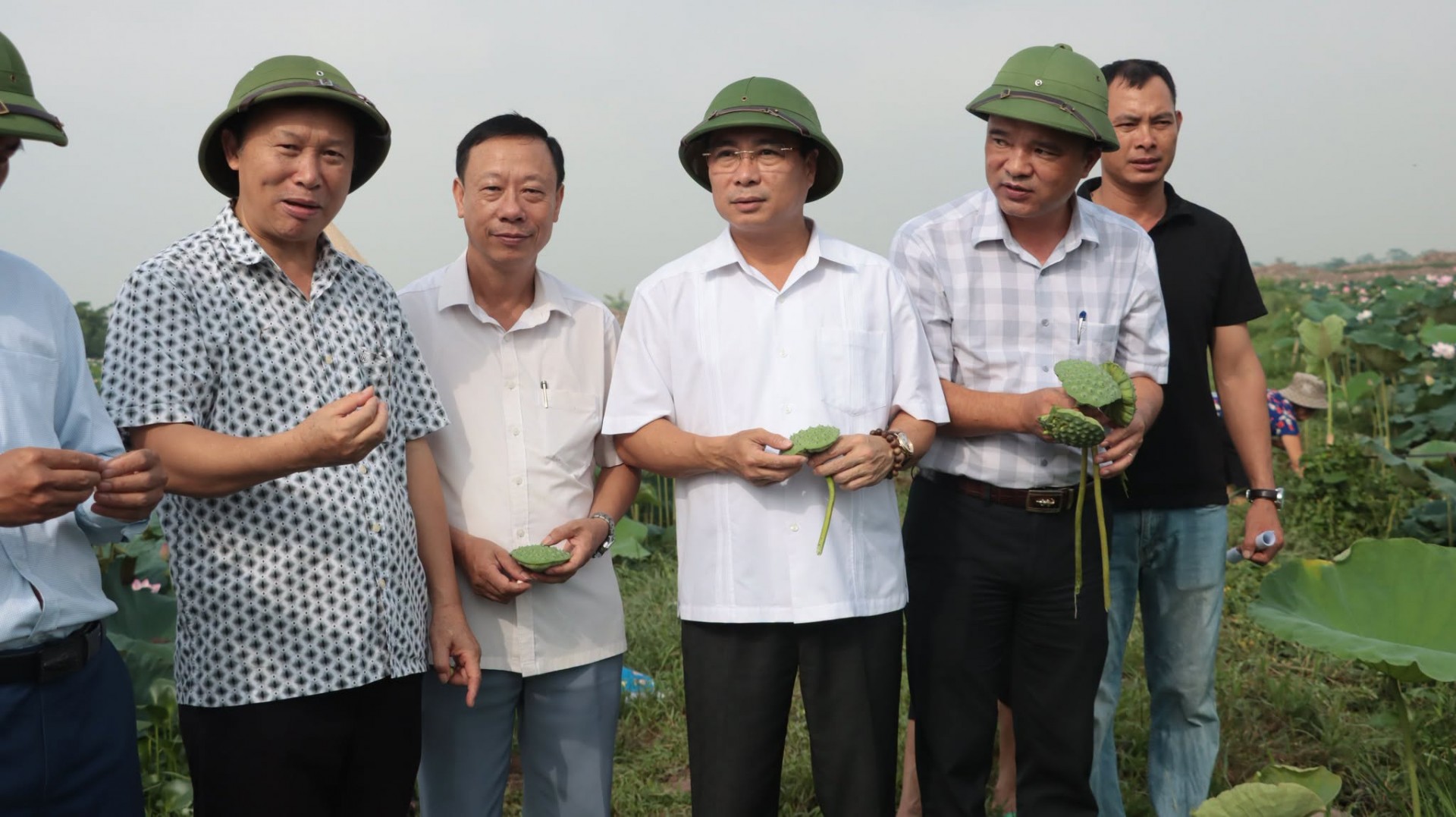 Mô hình sản xuất cây hoa sen thích ứng với biến đổi khí hậu và bảo vệ môi trường phù hợp với nhu cầu của thị trường năm 2026 được thực hiện tại thôn Trung Tú, xã Ứng Hoà, với quy mô 10ha, trồng giống sen Bách Diệp và sen Mặt Bằng. Mô hình sản xuất cây hoa sen thích ứng với biến đổi khí hậu và bảo vệ môi trường phù hợp với nhu cầu của thị trường năm 2026 được thực hiện tại thôn Trung Tú, xã Ứng Hoà, với quy mô 10ha, trồng giống sen Bách Diệp và sen Mặt Bằng.