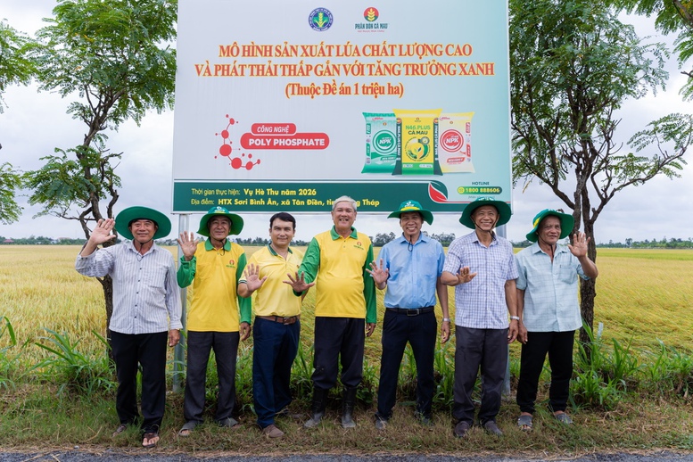 Hiệu quả kép từ mô hình canh tác lúa chất lượng cao, phát thải thấp tại Đồng Tháp
