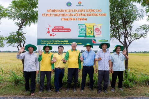 Hiệu quả kép từ mô hình canh tác lúa chất lượng cao, phát thải thấp tại Đồng Tháp