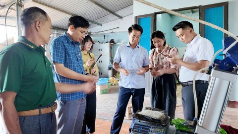 sau khi dat sao ocop lai chau tiep tuc bai toan giu chat luong