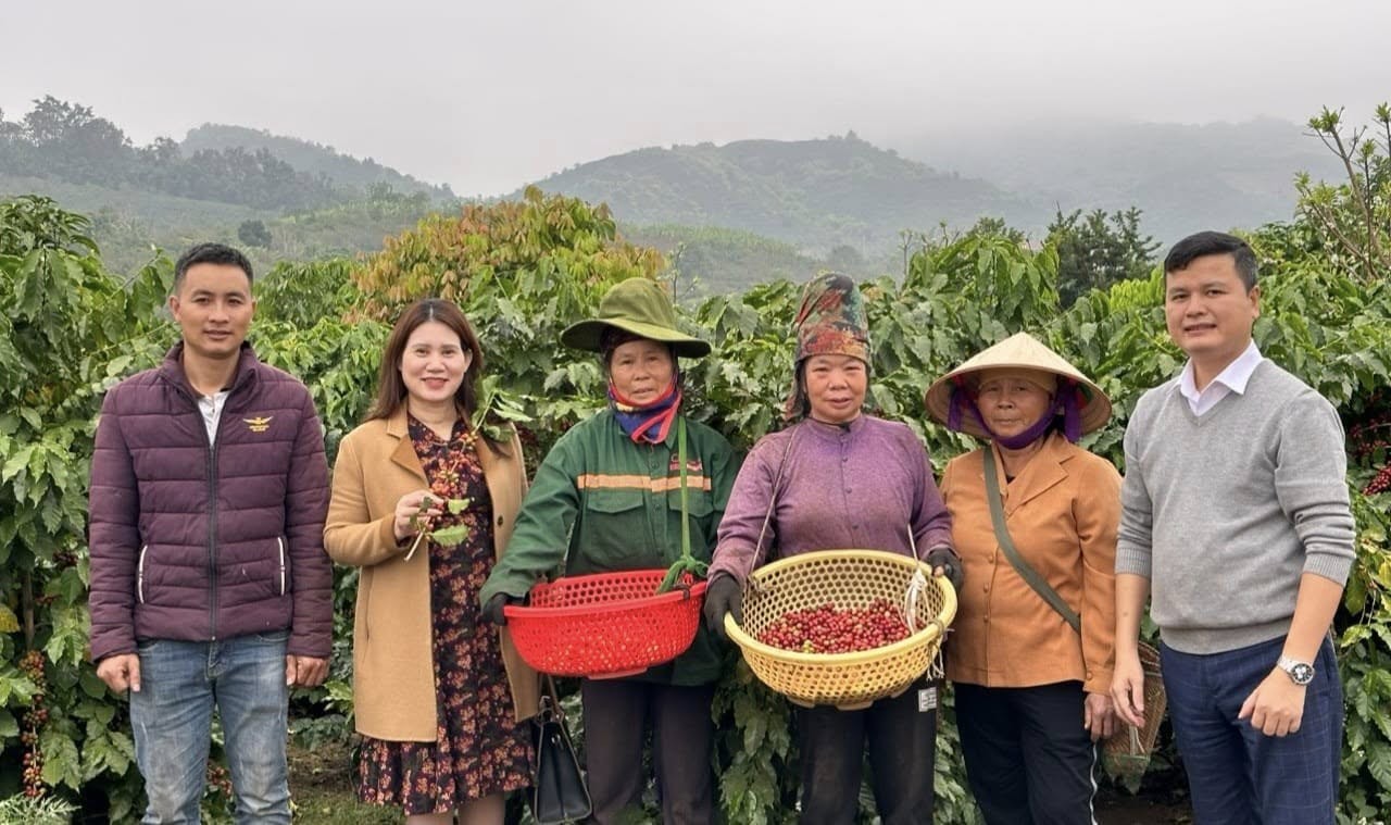 Sơn La: Nâng tầm OCOP bằng chất lượng và thị trường