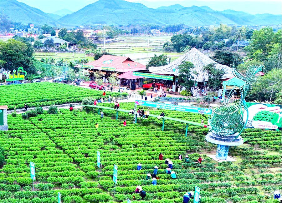 Sơn La dồn lực hoàn thành 100% kế hoạch  khuyến công năm 2026