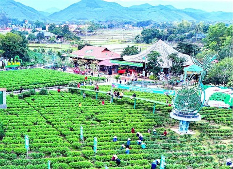 son la don luc hoan thanh 100 ke hoach khuyen cong nam 2026