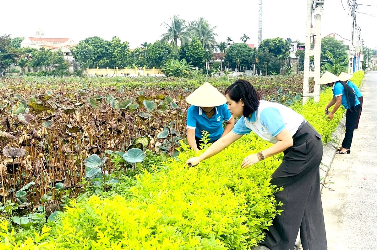 Xã Thanh Hóa (Thanh Hóa): Thắp sáng làng quê, tô xanh cuộc sống