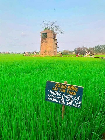 lo gach cu farm tai sinh phe tich bang he sinh thai lua tim than ocop