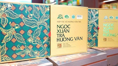 hon nua the ky giu nghe bun banh dong quang