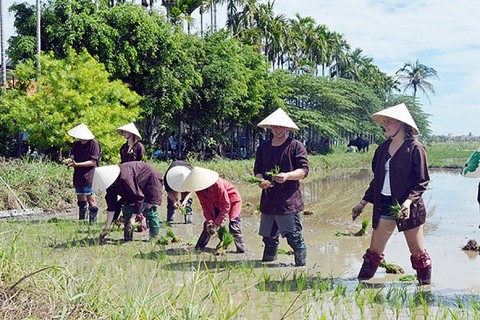 hoi thi diem den du lich nong thon viet nam tot nhat nhan ho so den ngay 1510