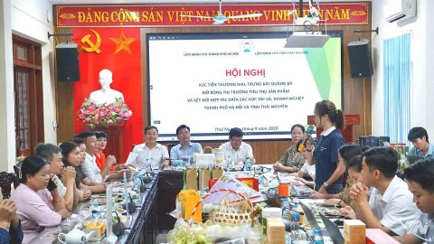 ha noi thai nguyen ket noi tieu thu san pham hop tac xa