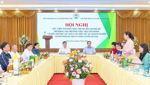 dua nong san tuyen quang va san pham ocop chinh phuc thi truong ha noi