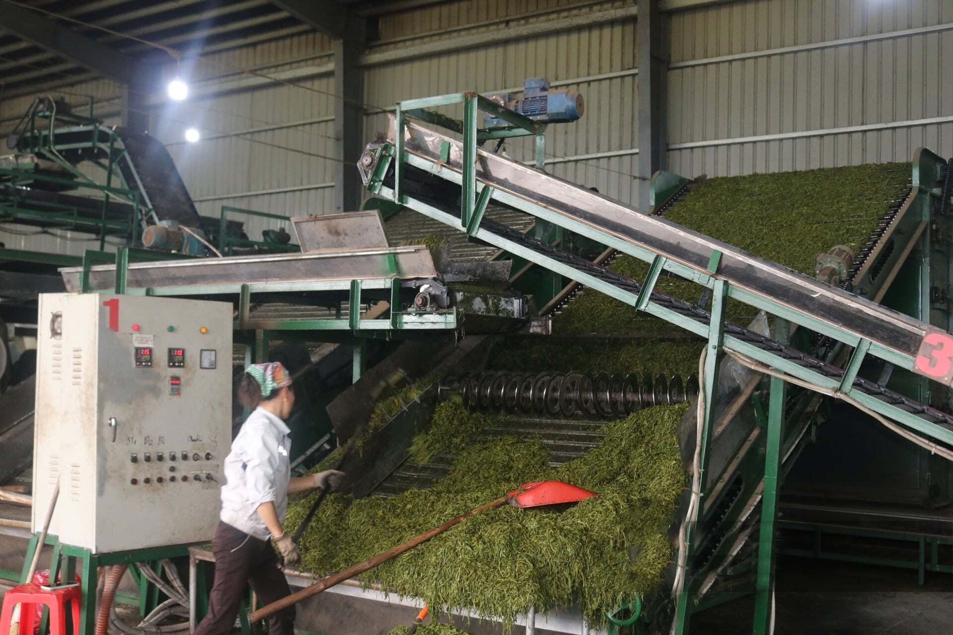 Nhiều doanh nghiệp, HTX trên địa bàn xã Bản Lầu áp dụng công nghệ mới vào vận hành, quản lý, sản xuất nông nghiệp, chế biến nông sản. Ảnh: Mùa Xuân.