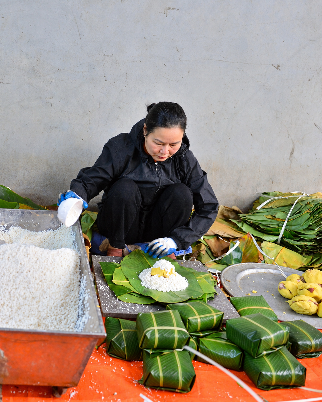 Nghề gói bánh chưng ở đây là do ông cha truyền lại. Cứ như vậy từ đời này sang đời khác, nghề gói bánh chưng vẫn được gìn giữ qua bao thế hệ, tạo nên thương hiệu bánh chưng Tranh Khúc nổi tiếng, Nghề gói bánh chưng ở đây là do ông cha truyền lại. Cứ như vậy từ đời này sang đời khác, nghề gói bánh chưng vẫn được gìn giữ qua bao thế hệ, tạo nên thương hiệu bánh chưng Tranh Khúc nổi tiếng,