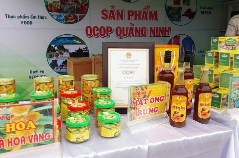 ocop danh thuc kinh te nong thon quang ninh