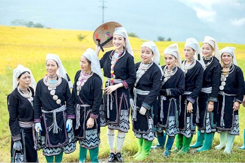 xa hong thai tuyen quang ruc ro sac mau le hoi mua vang nam 2026
