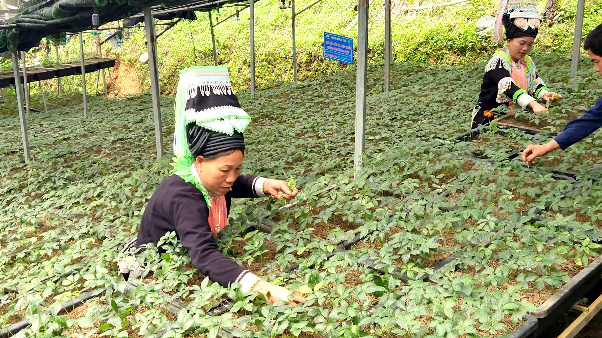 Lai Châu phát huy sức mạnh cộng đồng xây dựng nông thôn mới Lai Châu phát huy sức mạnh cộng đồng xây dựng nông thôn mới