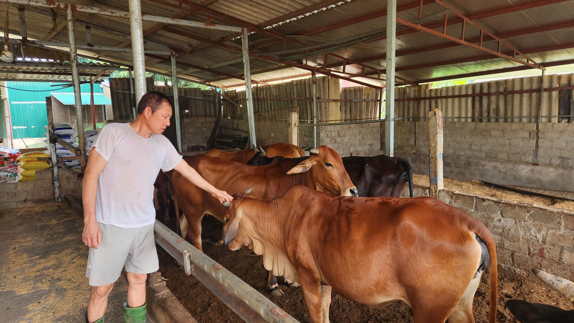 Lai Châu phát huy sức mạnh cộng đồng xây dựng nông thôn mới Lai Châu phát huy sức mạnh cộng đồng xây dựng nông thôn mới