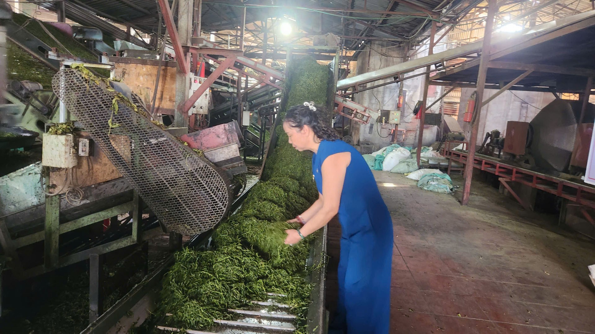 Lai Châu phát huy sức mạnh cộng đồng xây dựng nông thôn mới Lai Châu phát huy sức mạnh cộng đồng xây dựng nông thôn mới
