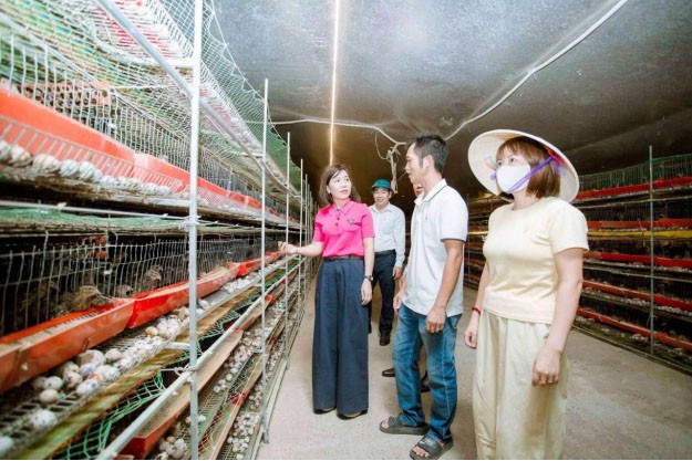 Từ mô hình chăn nuôi đến sản phẩm đặc trưng địa phương Từ mô hình chăn nuôi đến sản phẩm đặc trưng địa phương