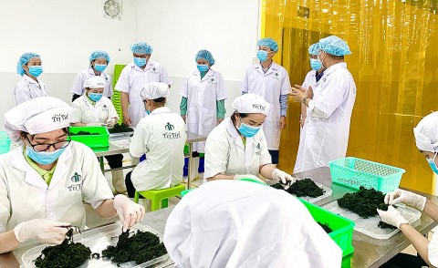 ocop khanh hoa dua ngoi sao len ke sieu thi