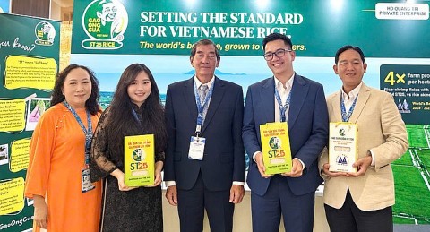 gao ong cua st25 gianh giai nhi gao ngon nhat the gioi 2026