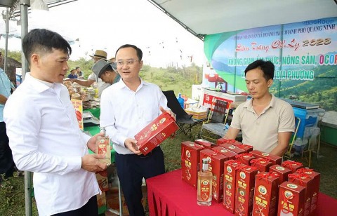 hoanh mo bi ngo khong lo nhung huou dat ocop