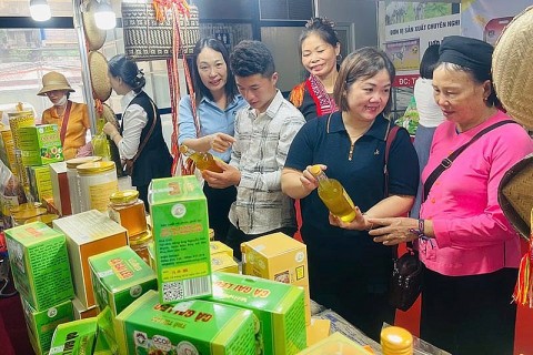 lao cai dua 98 san pham ocop den hoi cho lang nghe viet nam 2026