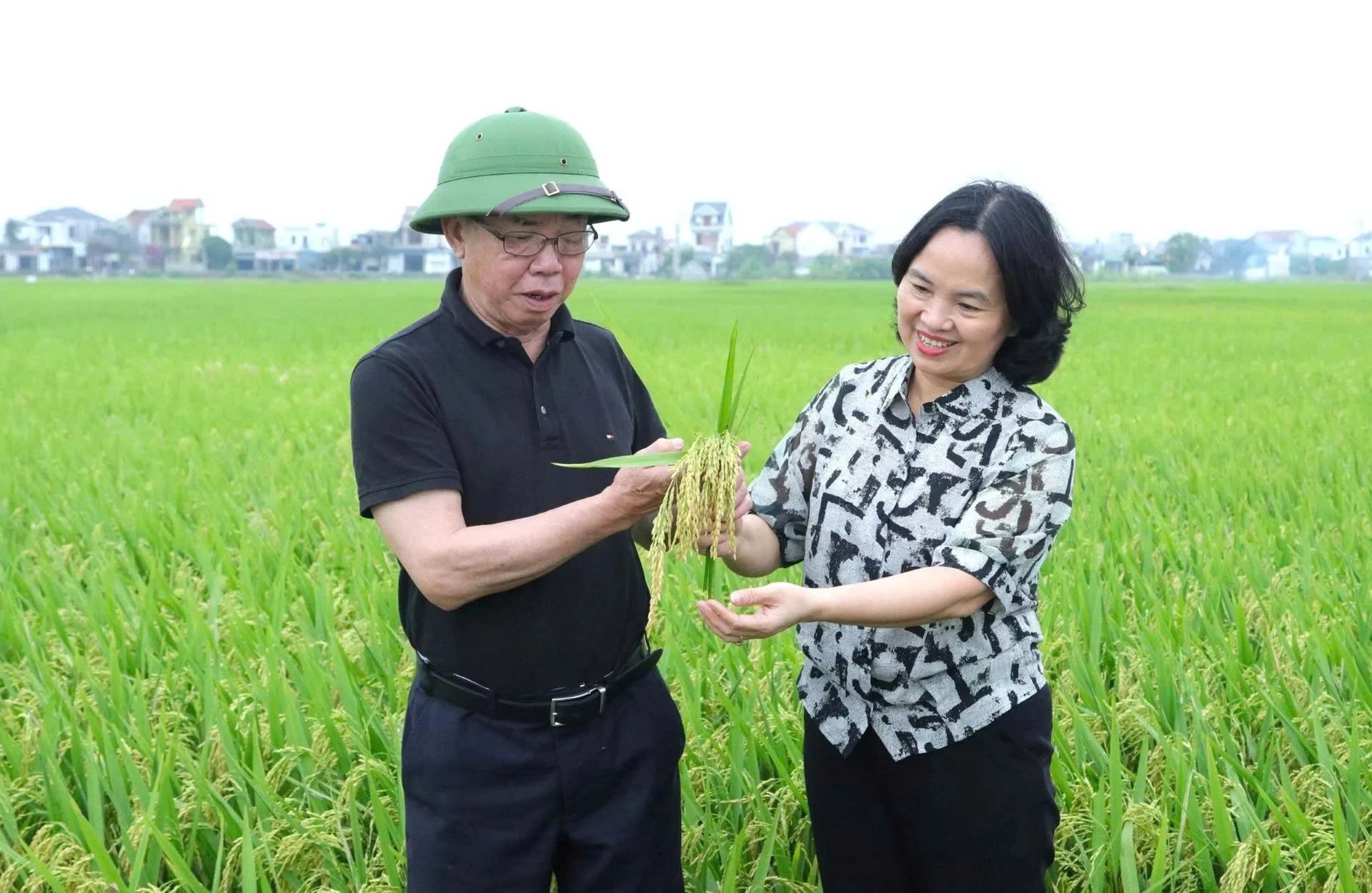 Khuyến nông Nghệ An chuyển sang mô hình dịch vụ, lấy thị trường làm gốc