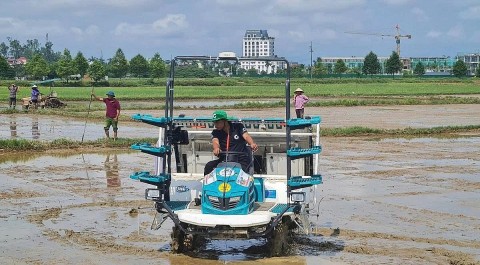 khuyen nong nghe an chuyen sang mo hinh dich vu lay thi truong lam goc