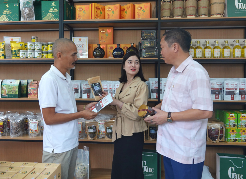 Pleiku mở rộng không gian quảng bá sản phẩm OCOP gắn với du lịch