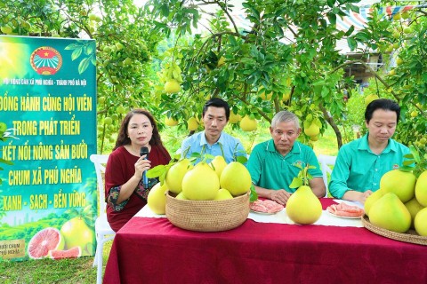 livestream quang ba buoi chum phu nghia tieu thu gan 1000 qua buoi