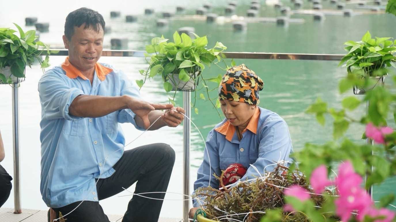 Ông Nguyễn Sỹ Bính, thành viên Hợp tác xã Nuôi trồng thủy sản đảo Phất Cờ (đặc khu Vân Đồn), gương mặt tiêu biểu được lựa chọn tôn vinh danh hiệu “Nông dân Quảng Ninh xuất sắc” năm 2026.
